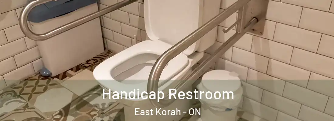  Handicap Restroom East Korah - ON