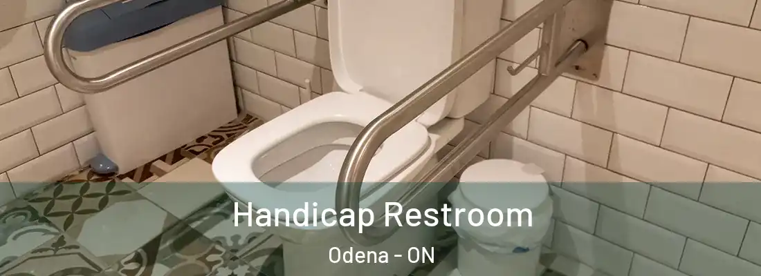  Handicap Restroom Odena - ON