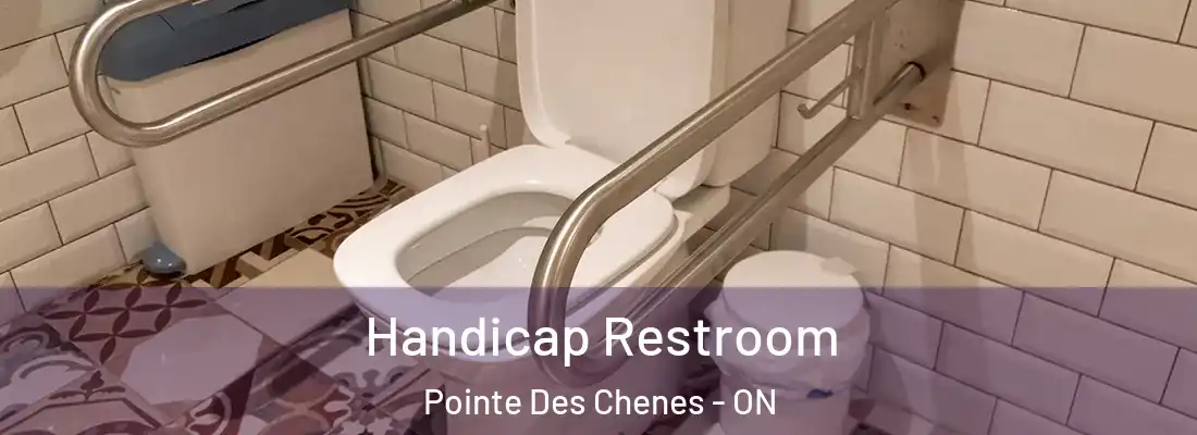  Handicap Restroom Pointe Des Chenes - ON