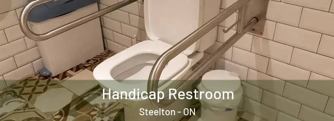  Handicap Restroom Steelton - ON