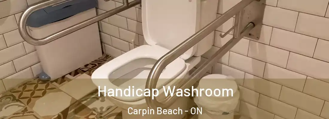  Handicap Washroom Carpin Beach - ON