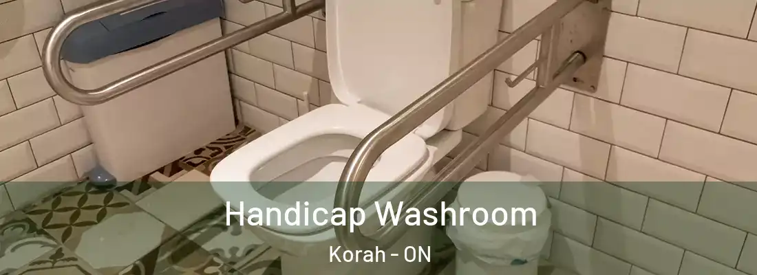  Handicap Washroom Korah - ON