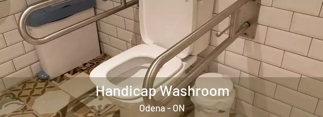  Handicap Washroom Odena - ON