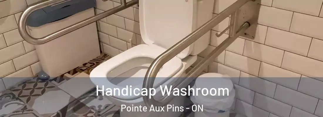  Handicap Washroom Pointe Aux Pins - ON