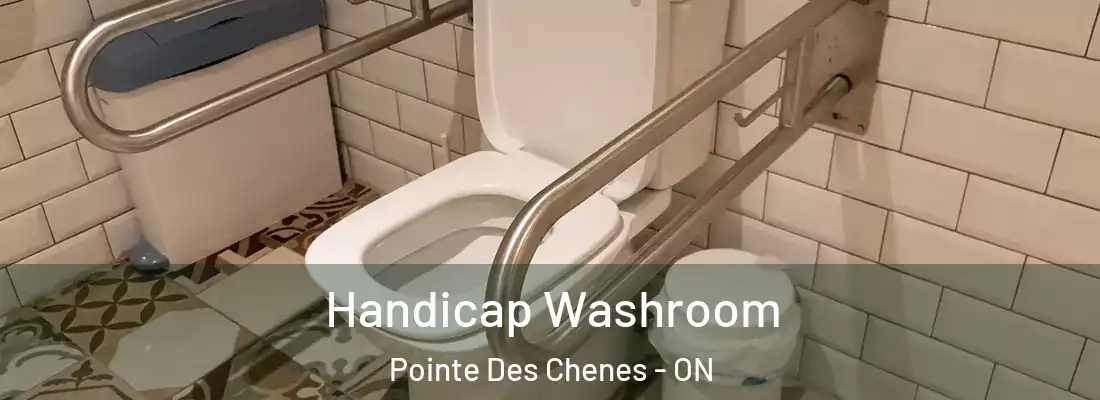  Handicap Washroom Pointe Des Chenes - ON