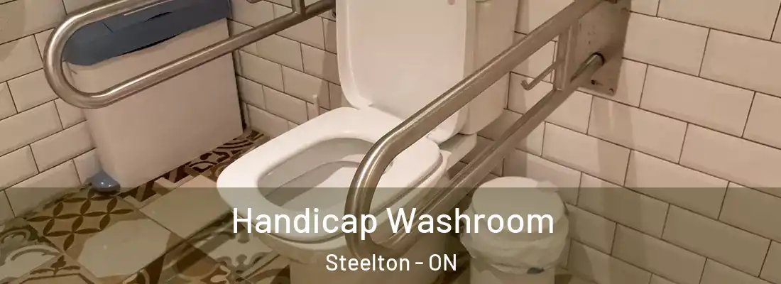  Handicap Washroom Steelton - ON