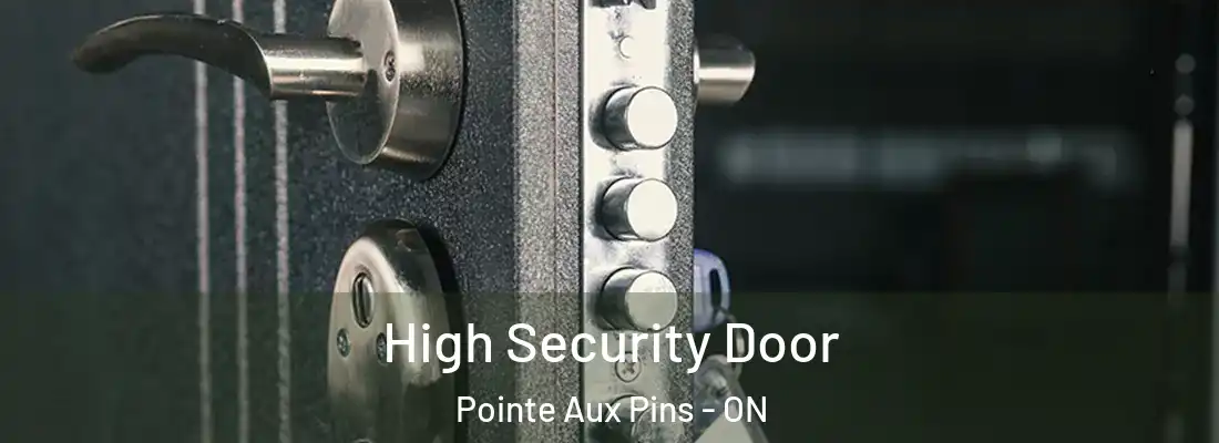  High Security Door Pointe Aux Pins - ON