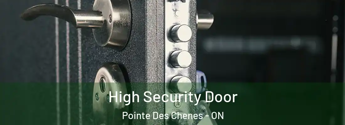  High Security Door Pointe Des Chenes - ON