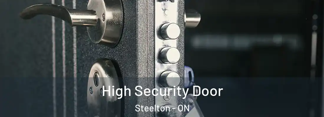  High Security Door Steelton - ON