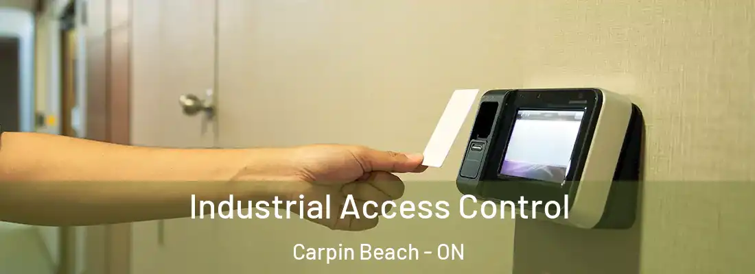  Industrial Access Control Carpin Beach - ON