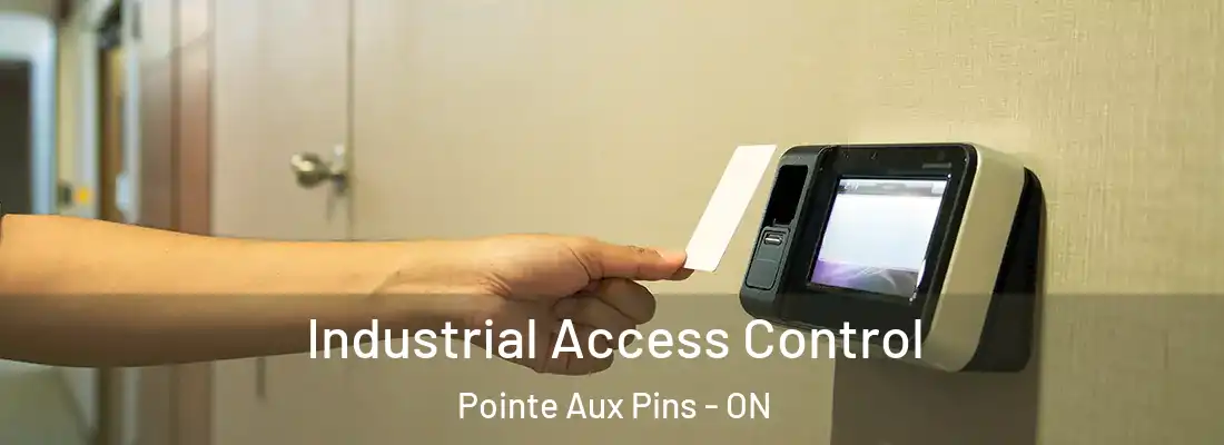  Industrial Access Control Pointe Aux Pins - ON