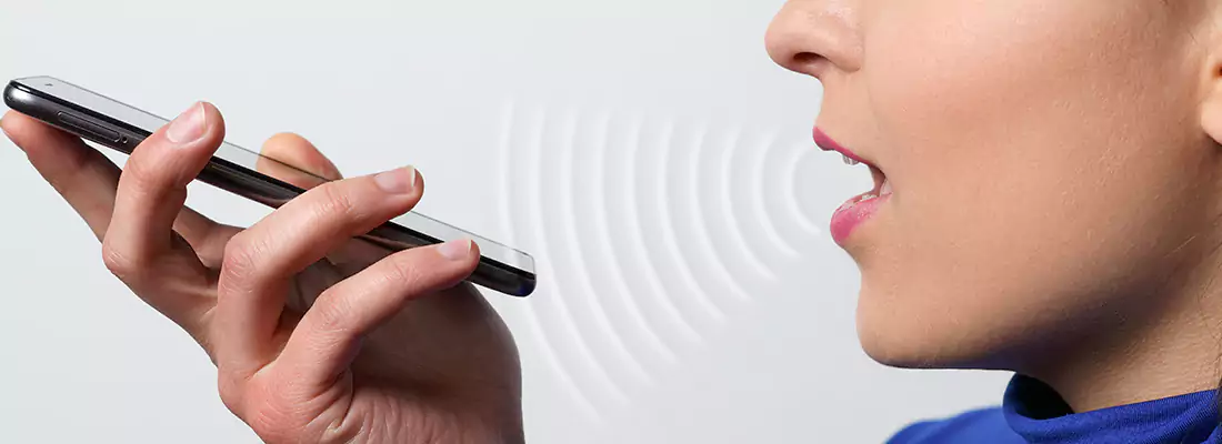 Residential and Commercial Voice Recognition Access Solutions in Grandview Gardins, ON