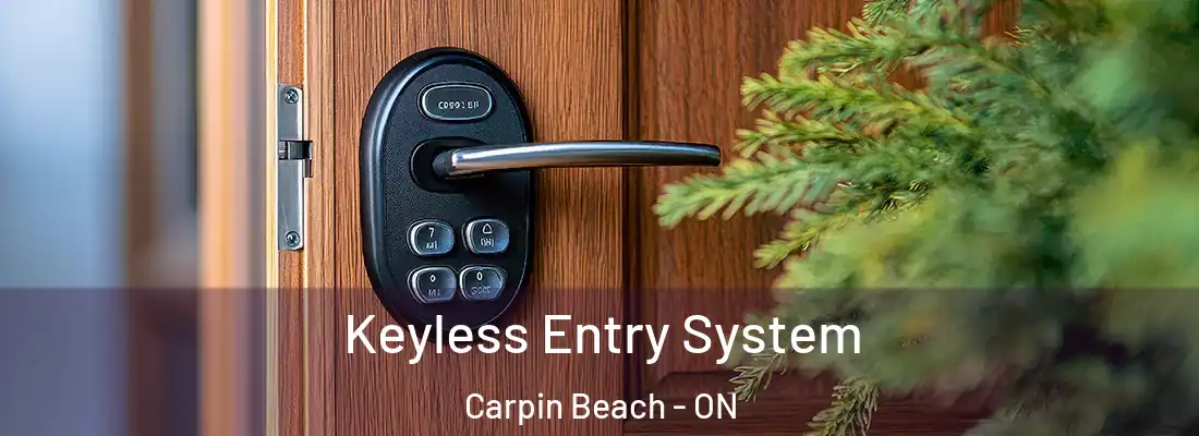  Keyless Entry System Carpin Beach - ON