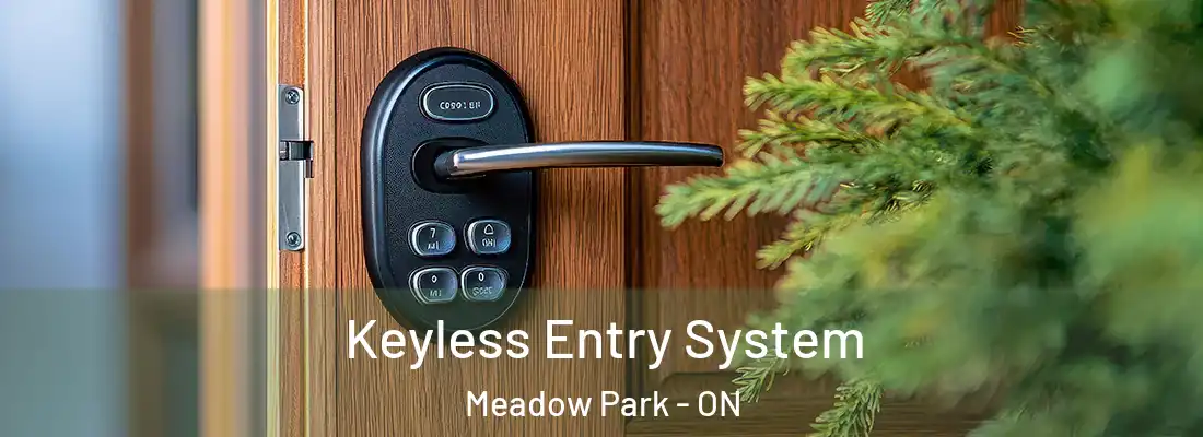  Keyless Entry System Meadow Park - ON