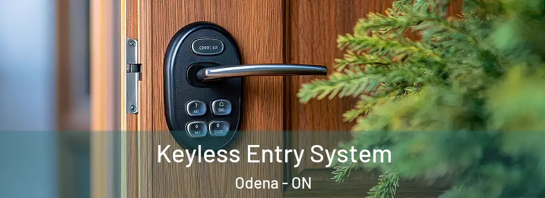  Keyless Entry System Odena - ON