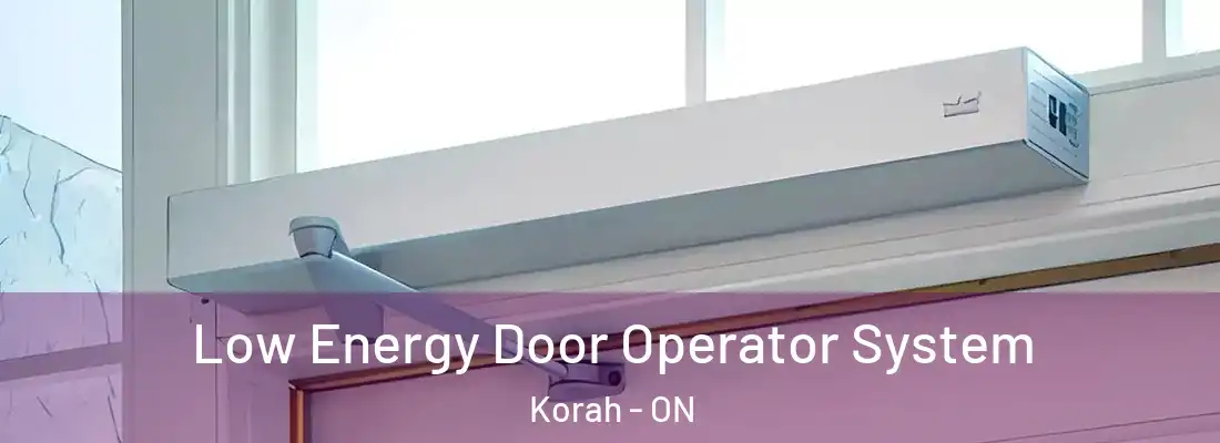  Low Energy Door Operator System Korah - ON