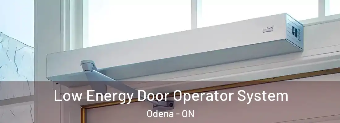  Low Energy Door Operator System Odena - ON