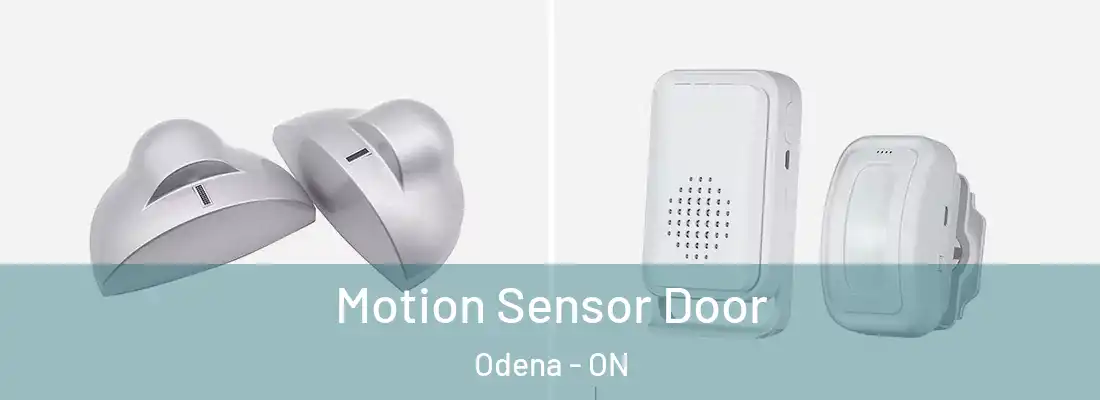  Motion Sensor Door Odena - ON