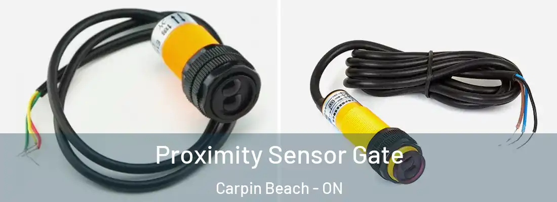  Proximity Sensor Gate Carpin Beach - ON