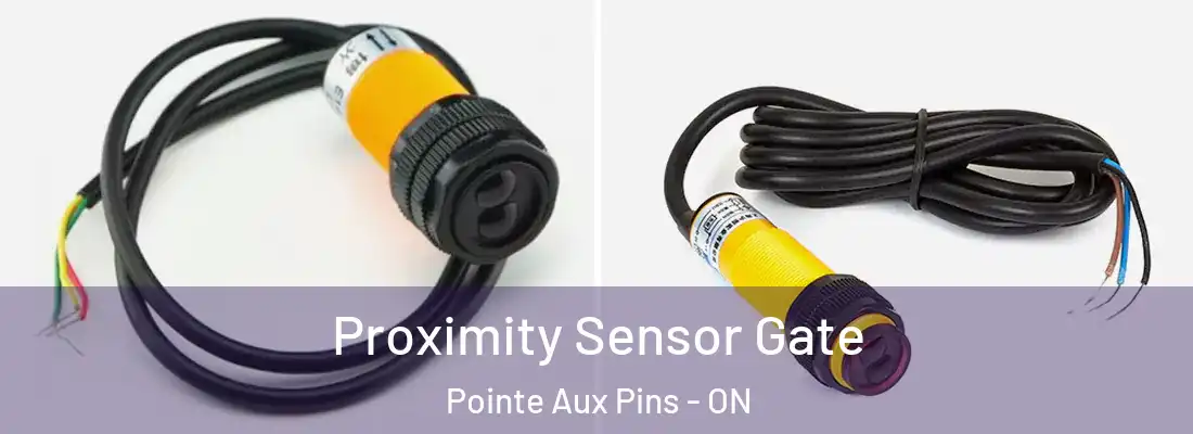  Proximity Sensor Gate Pointe Aux Pins - ON