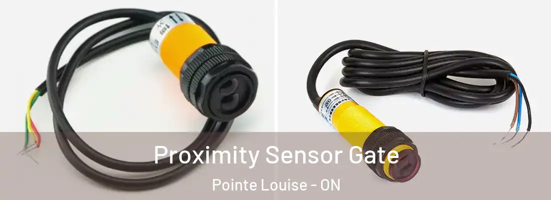  Proximity Sensor Gate Pointe Louise - ON