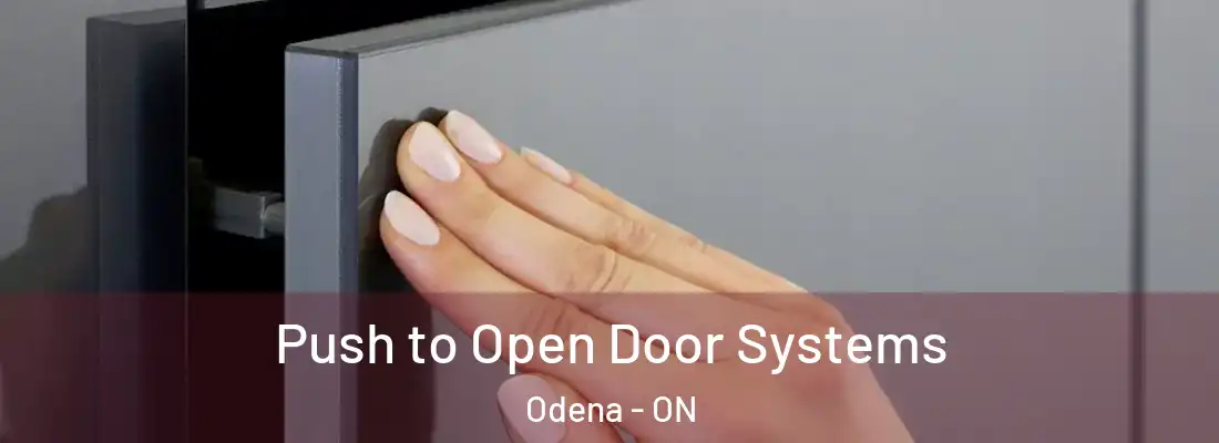  Push to Open Door Systems Odena - ON