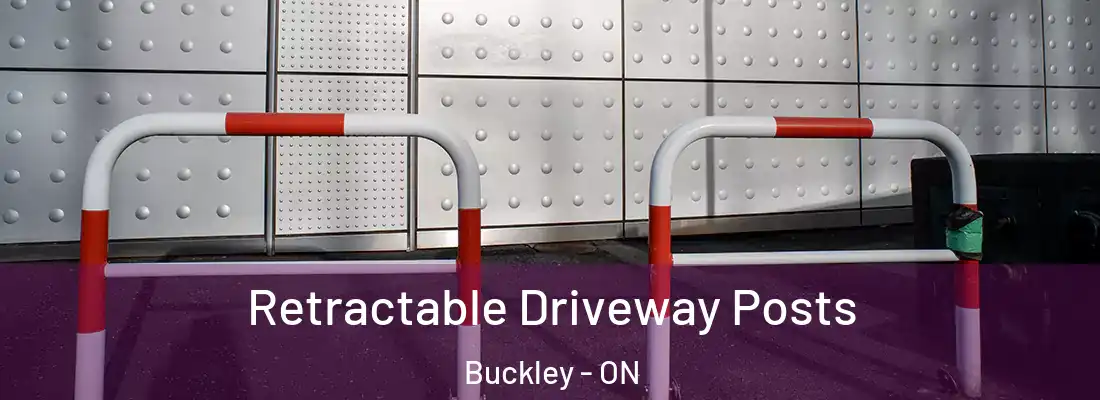  Retractable Driveway Posts Buckley - ON