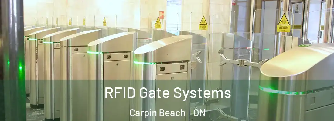  RFID Gate Systems Carpin Beach - ON