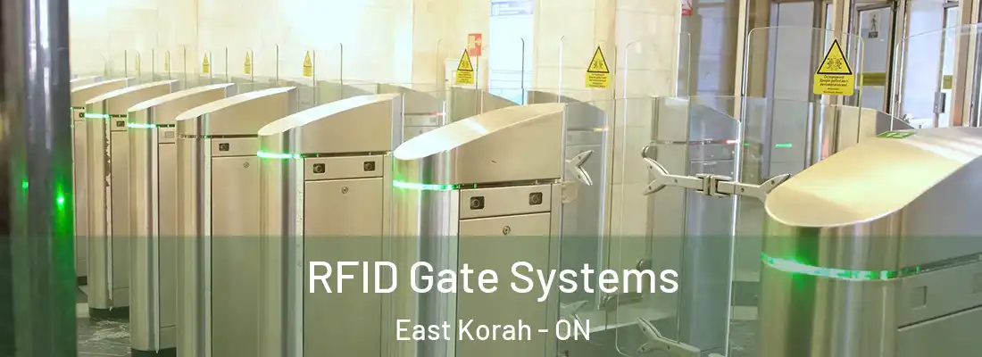  RFID Gate Systems East Korah - ON