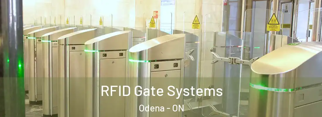  RFID Gate Systems Odena - ON