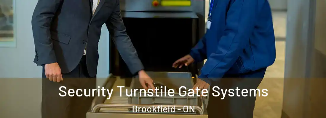  Security Turnstile Gate Systems Brookfield - ON