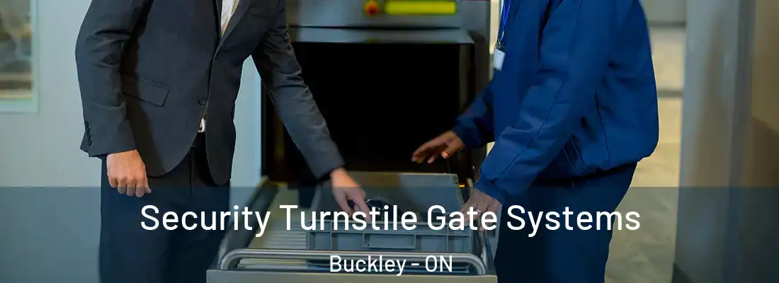  Security Turnstile Gate Systems Buckley - ON