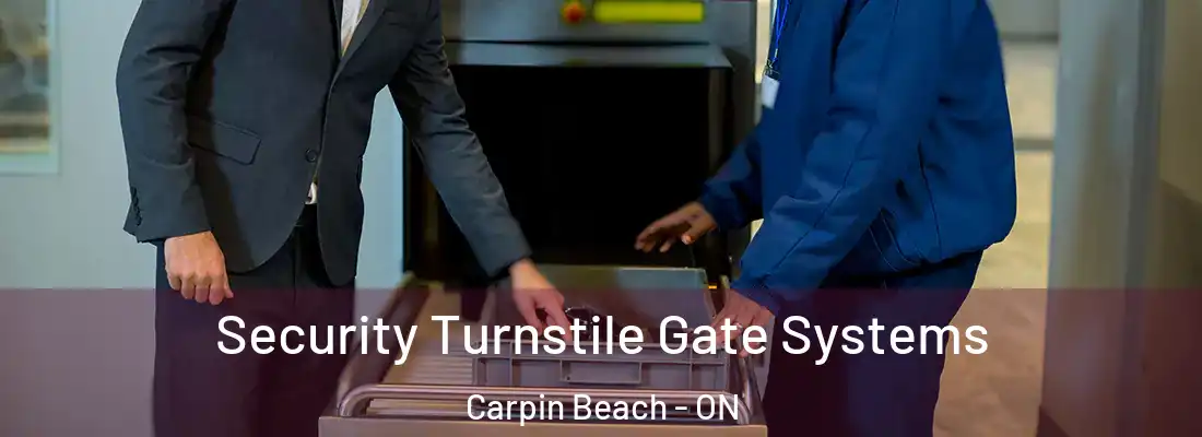  Security Turnstile Gate Systems Carpin Beach - ON