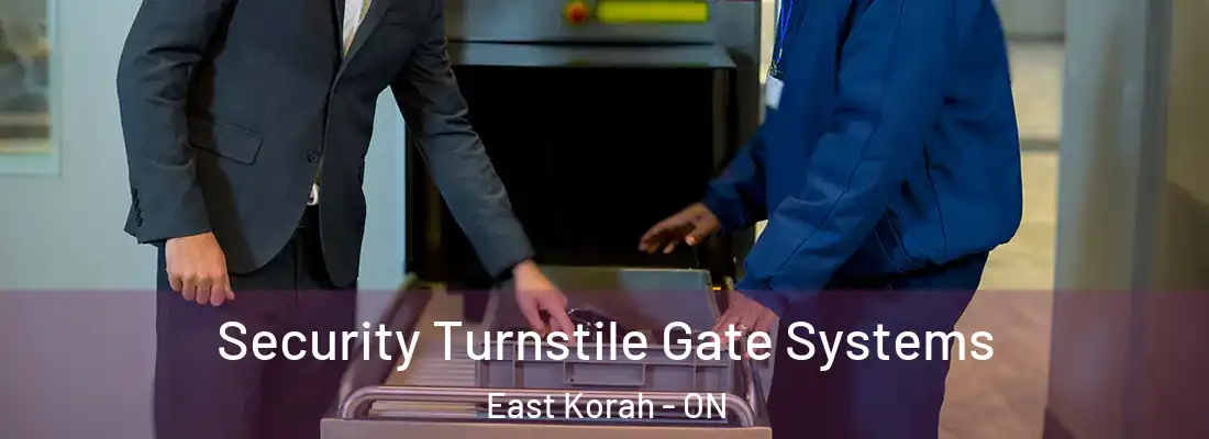  Security Turnstile Gate Systems East Korah - ON
