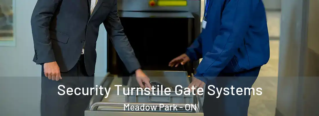  Security Turnstile Gate Systems Meadow Park - ON