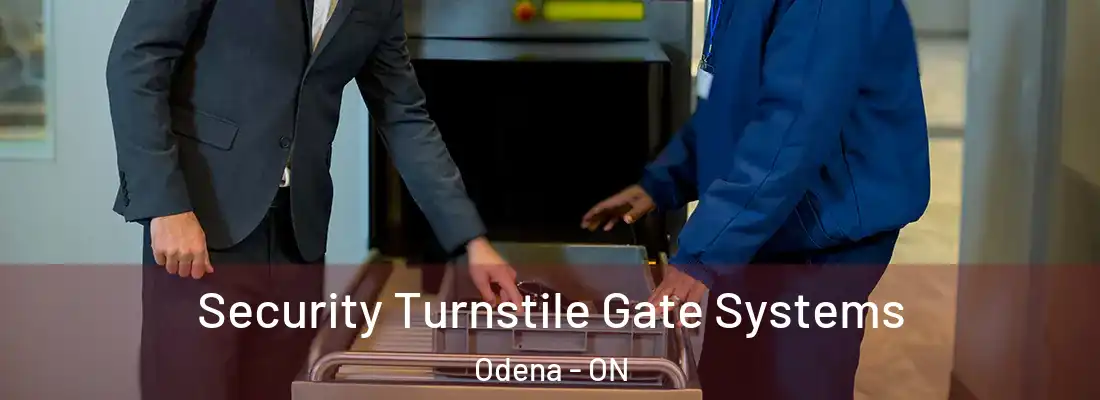  Security Turnstile Gate Systems Odena - ON