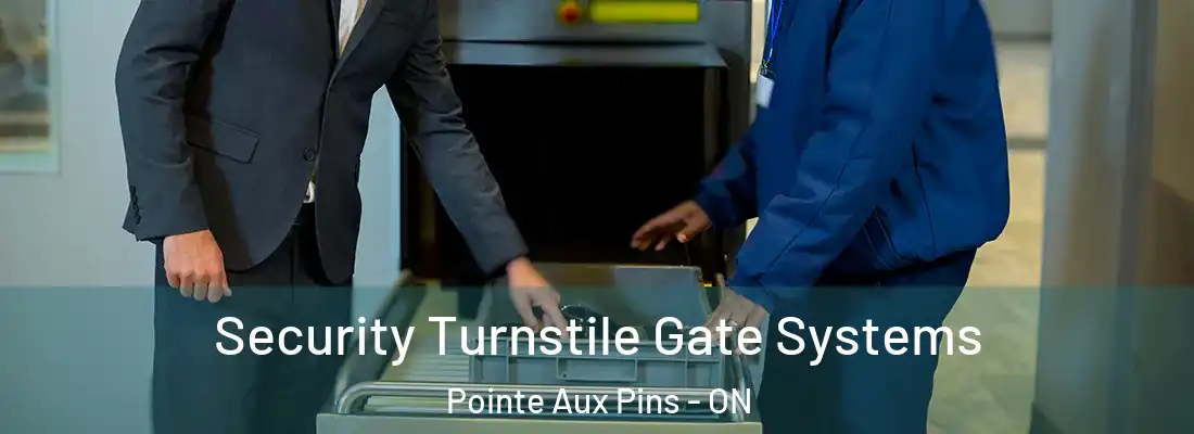  Security Turnstile Gate Systems Pointe Aux Pins - ON