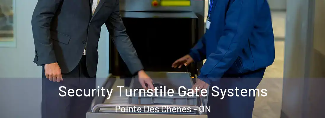  Security Turnstile Gate Systems Pointe Des Chenes - ON