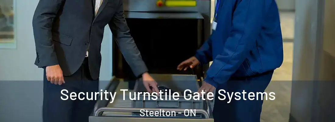  Security Turnstile Gate Systems Steelton - ON