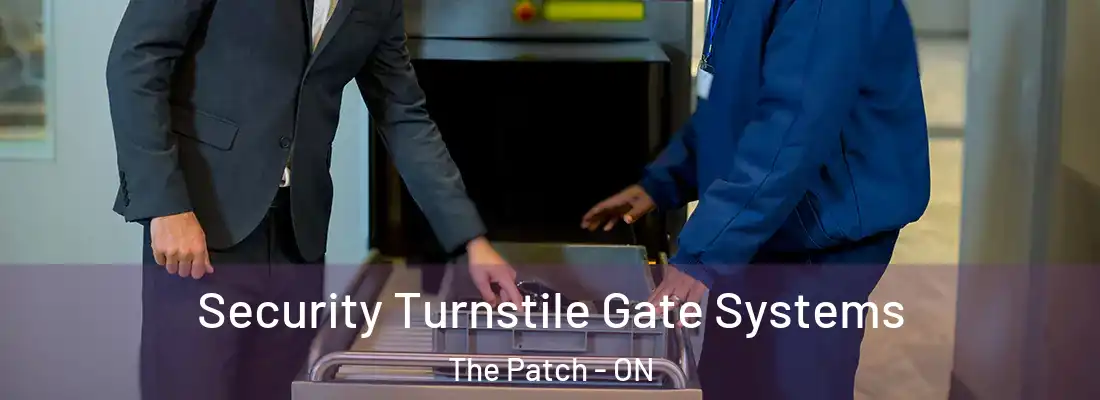  Security Turnstile Gate Systems The Patch - ON