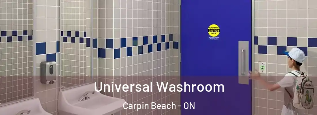  Universal Washroom Carpin Beach - ON